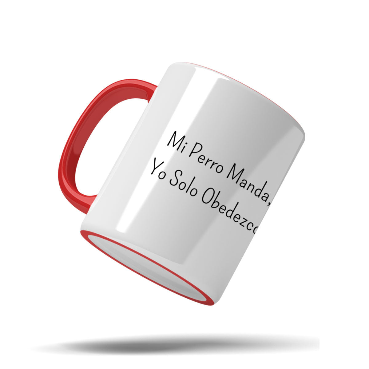 Accent Mug 11Oz (US)